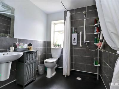 Picture 12